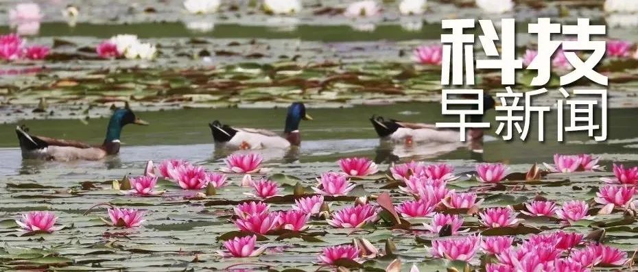 科技早新闻来了丨2022-5-10