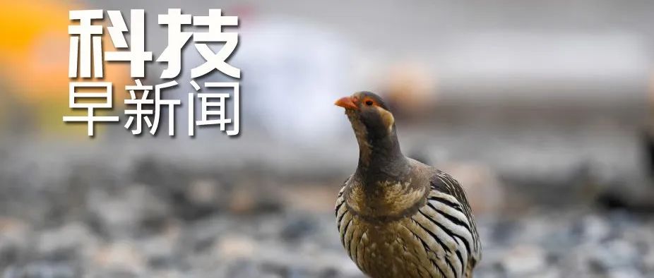科技早新闻来了丨2022-5-11