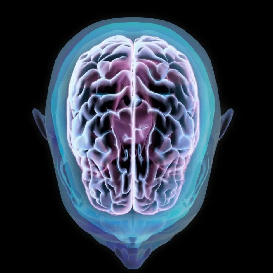 Nature子刊 | NUS、字节首次将AI元学习引入脑成像领域
