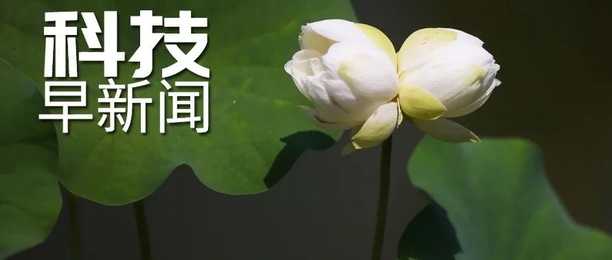 科技早新闻来了丨2022-6-19
