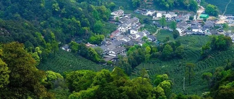 家住西湖景区是什么体验？在自家院子里聚餐被游客问吃饭还有没有位置……