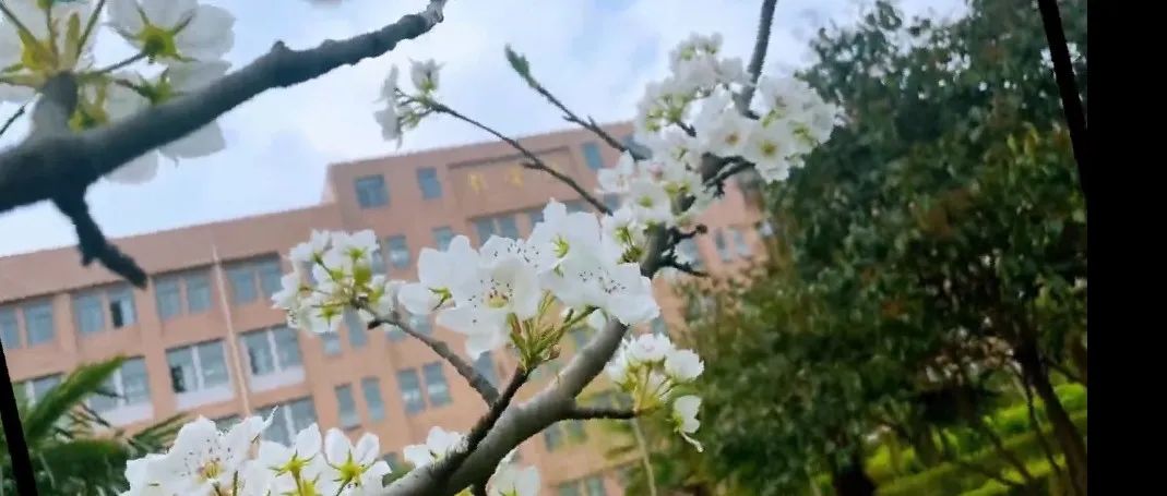 快来解锁航医夏日美景~