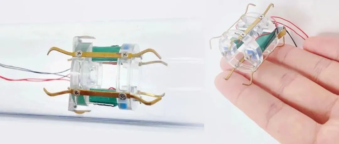 小巧精悍！燕大和哈工大团队研发基于压电粘滑驱动的微型管道机器人