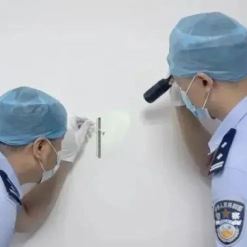 蚊子破案，比福尔摩斯还厉害