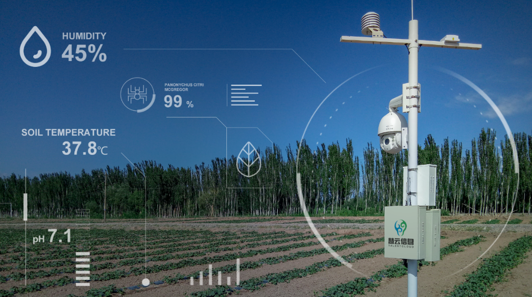 让科技创新走进田间地头，微软助力中国智慧新农业
