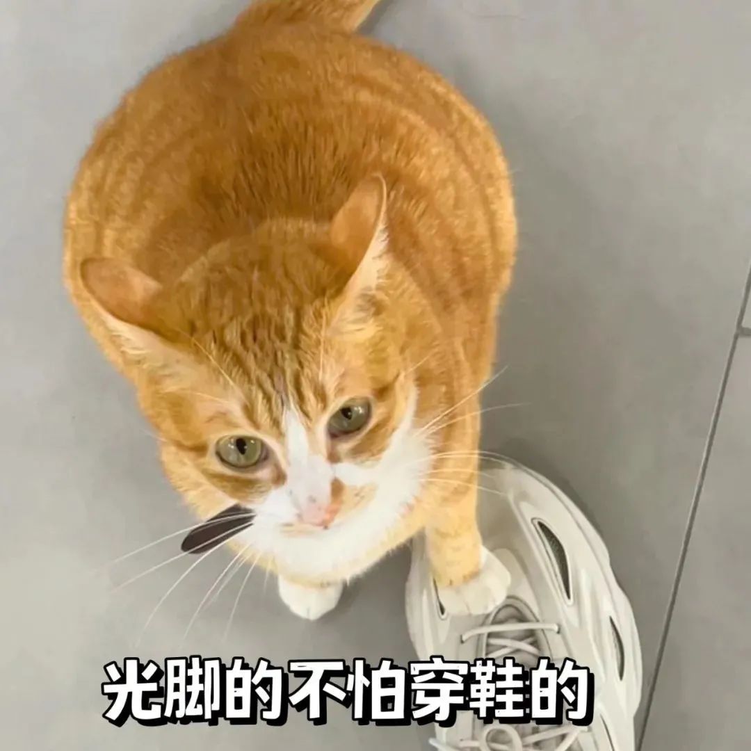上次露脸还是上次