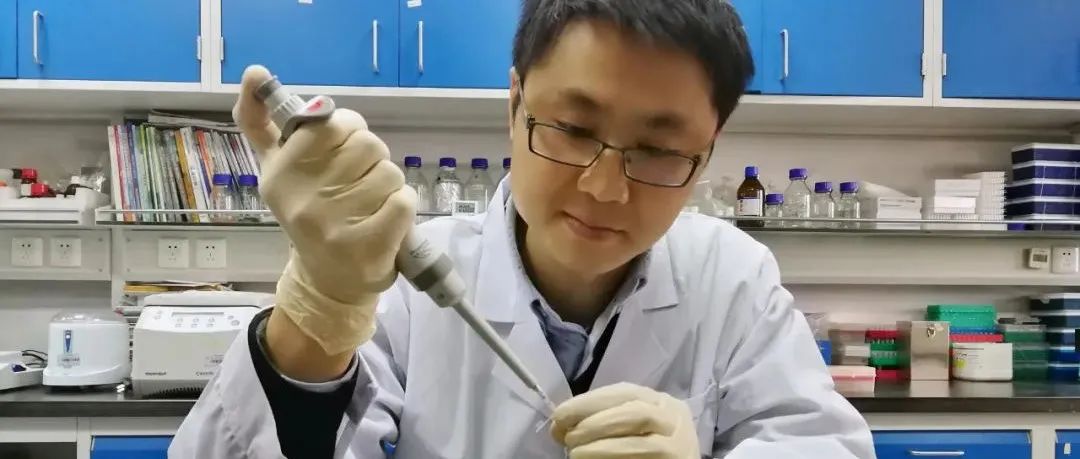 王克剑：让杂交稻优良基因代代相传丨奋斗者正青春