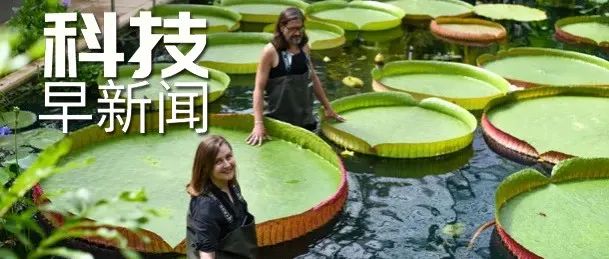 我国人均预期寿命提至77.93岁；病毒会改变宿主气味以吸引蚊子丨科技早新闻
