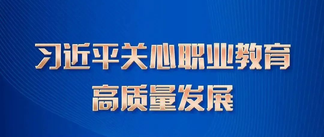 全力推进职业教育高质量发展