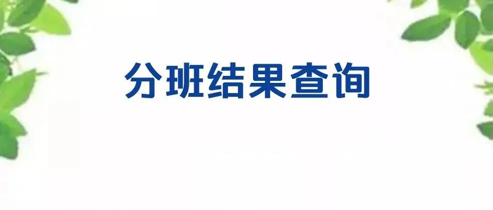 虹桥中学2022级新生分班结果查询