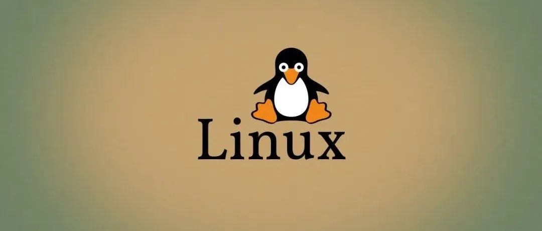 Linux保姆级教程.pdf，太全了！