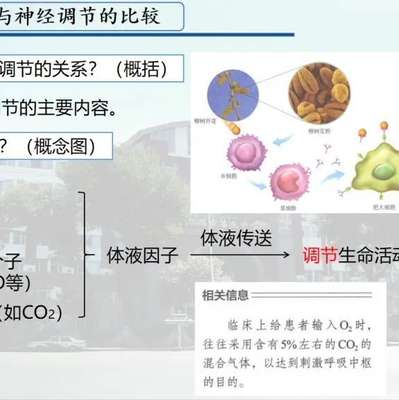 【双新领航•教育教学】优化教学策略 锤炼核心素养——哈九中线上优质课暨生物组系列听评课活动