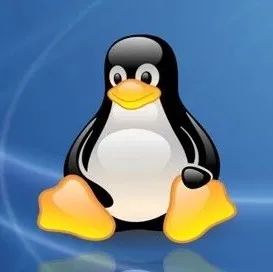 Linux 管道到底能有多快？