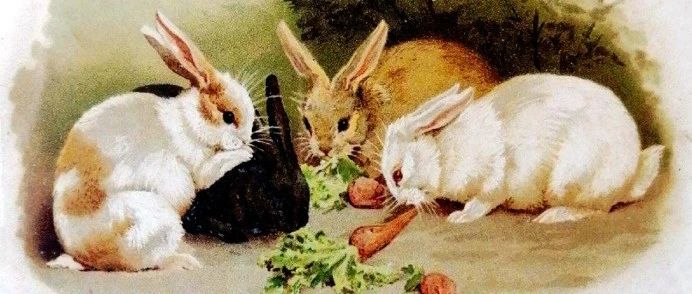 兔年说兔话年俗：大年三十，吃年夜饭、守岁