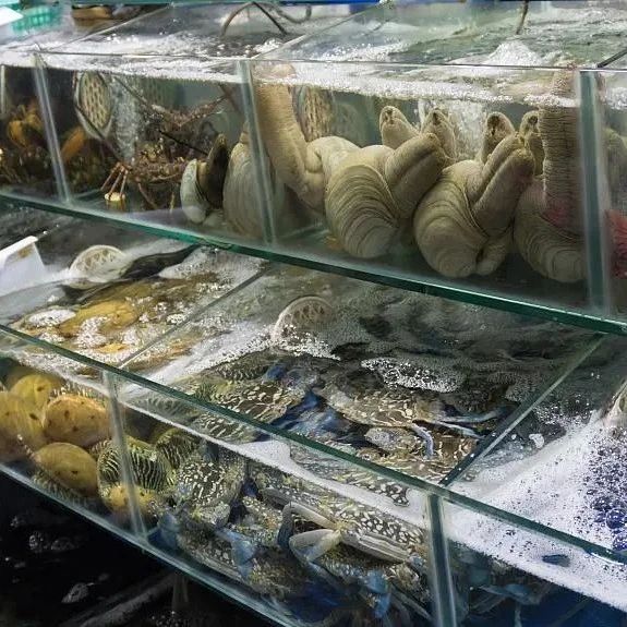 三亚海鲜餐饮协会：建议珍稀海产品加价率50%以内