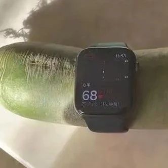 苹果手表测出萝卜心率68次/分，纸巾80次/分！专家给出解释…