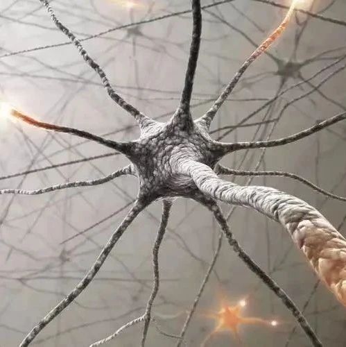 自我监督模型中的神经活动与网格细胞成相似模式