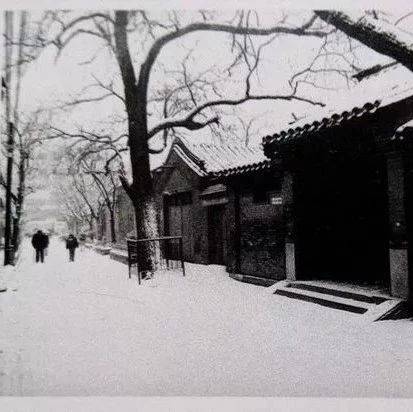 北京人可太喜欢下雪了！因为。。。