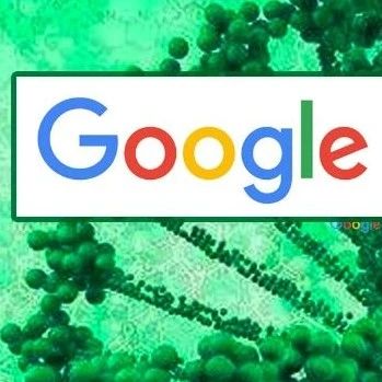 探索自然本源！谷歌2022年终总结第七弹：「生化环材」如何吃上机器学习红利？