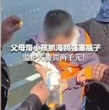家长帮孩子抓海鸥往瓶子里塞，处罚来了...