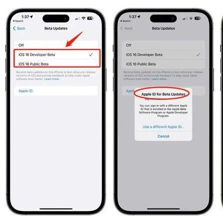iOS 16.4 Beta 3如何使用ID小号 享受“双系统”？