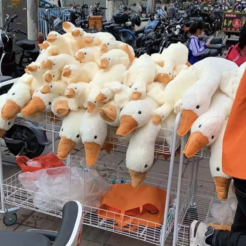 广州街头最近总遇到的“扫码送大鹅”，是啥套路？