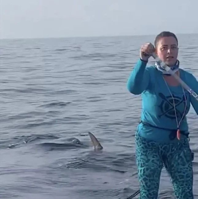 女子桨板比赛遭鲨鱼“跟踪”，赛后看视频倒吸一口凉气