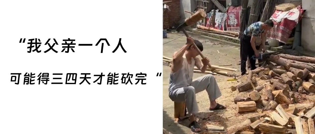 大学生放假回大山老家帮父亲砍1800斤柴！网友：原来这才是放假的意义…