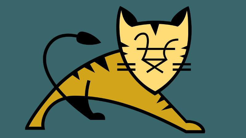 Apache Tomcat HTTP/2 DoS 漏洞，影响多个版本