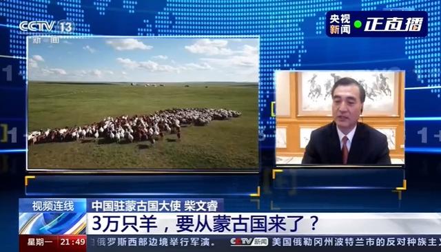 蒙古国送的3万只羊会变成羊肉献给武汉人民