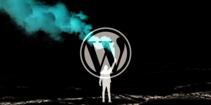 WordPress迎来18岁生日 已搭建全球超过40%网站