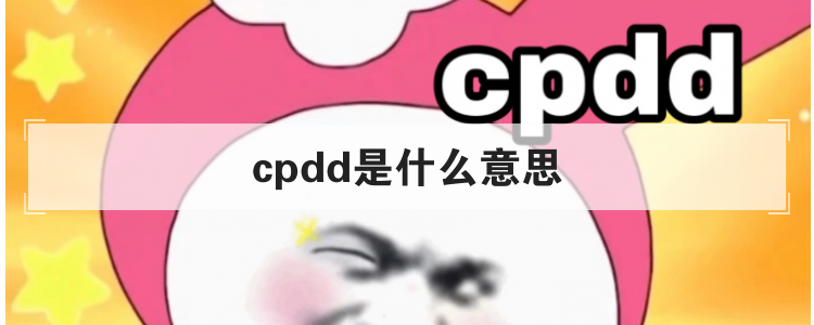 cpdd是什么意思？