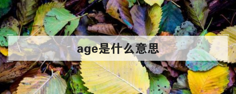 age是什么意思？