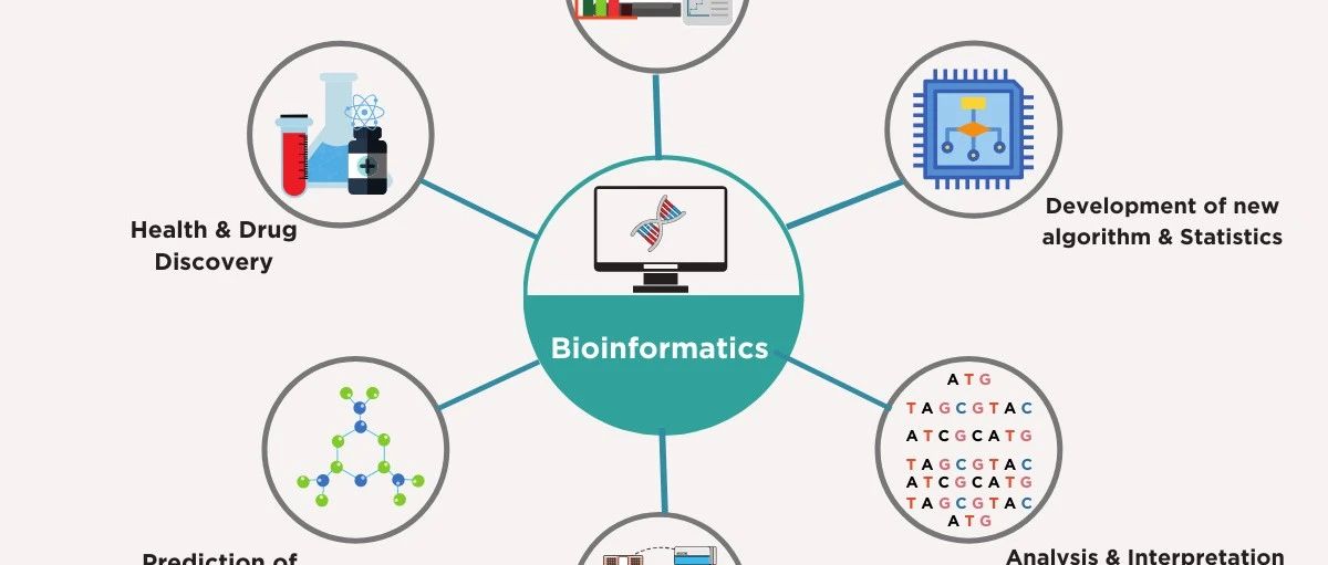 【国家一流专业巡礼】生物信息学：生命奥秘的“探寻者”