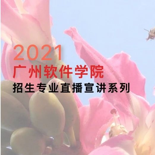 直播预告 | 教授带你“逛”专业——广州软件学院2021年招生专业直播宣讲系列活动