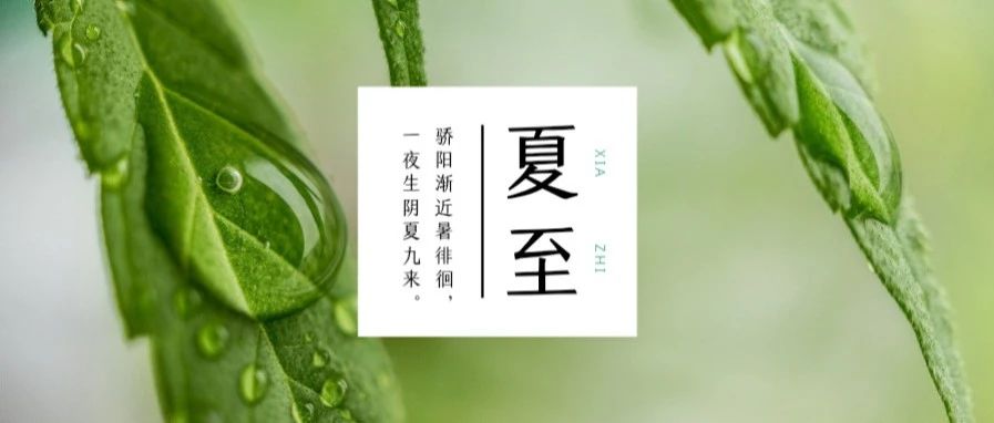 夏至｜你好，盛夏！