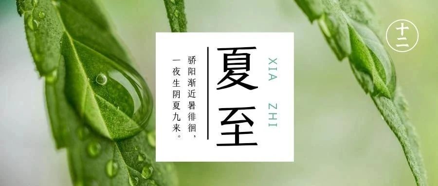 夏至丨夏至已至，美好始长