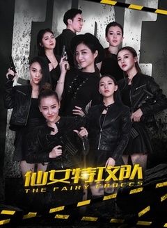 仙女特攻队