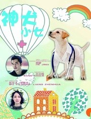 神犬小七 DVD版第1部