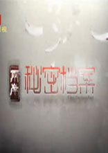 两岸秘密档案[2018]