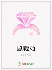 总裁劫