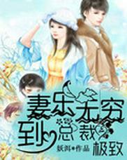 妻乐无穷，总裁爱到极致