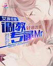 女神攻略：调教专属Mr