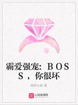 霸爱强宠:BOSS，你很坏