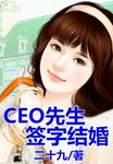 CEO先生，签字结婚！