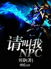 请叫我NPC