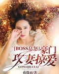 boss息怒：豪门攻妻掠爱