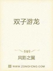 双子游龙