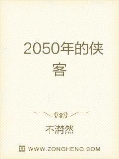 2050年的侠客