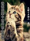 将镇压整个时代的小猫咪